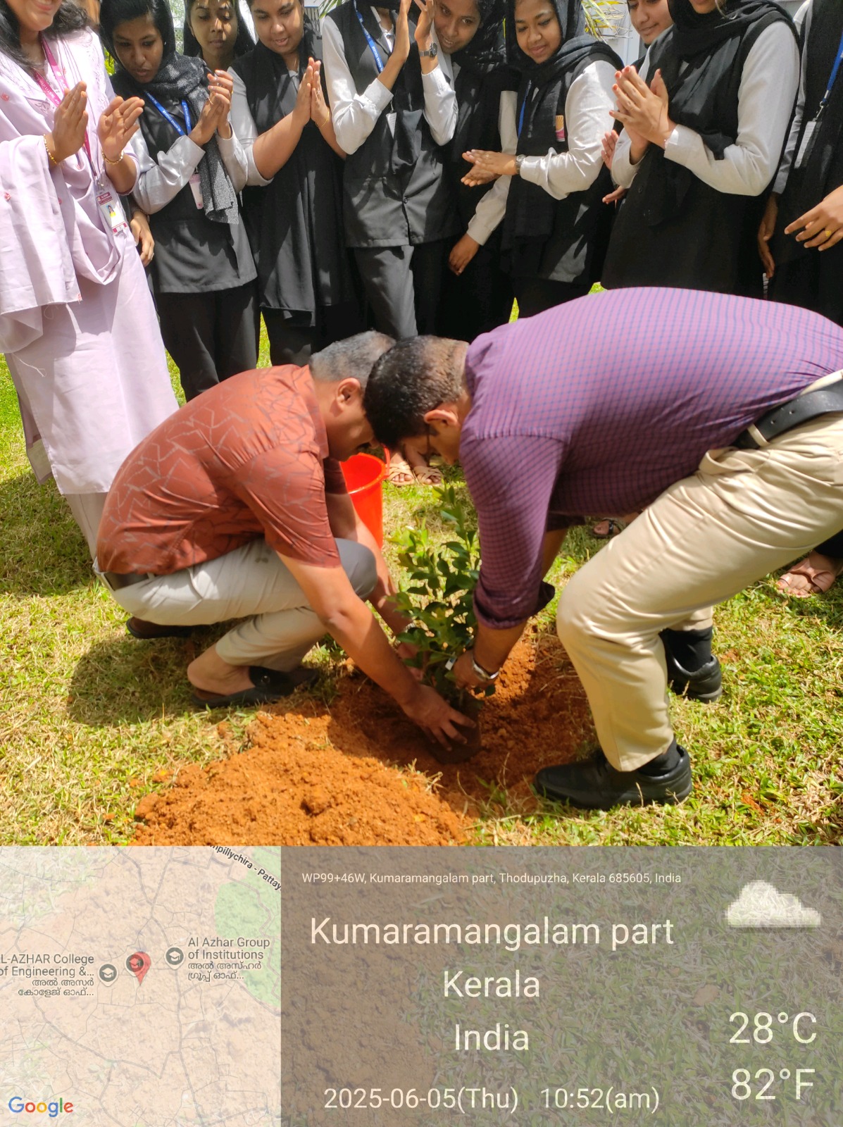 PLANTING SAPLINGS
